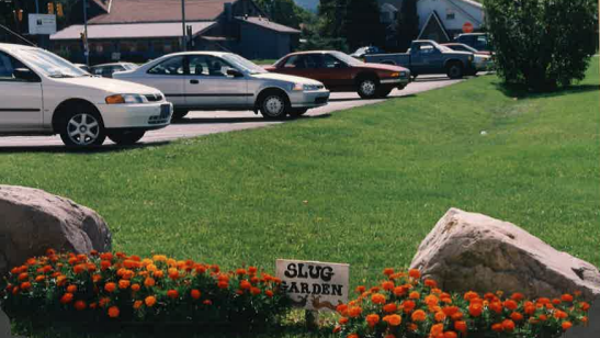 Slug garden at Hughes Library, circa 1996
