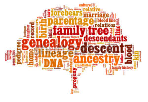 genealogy